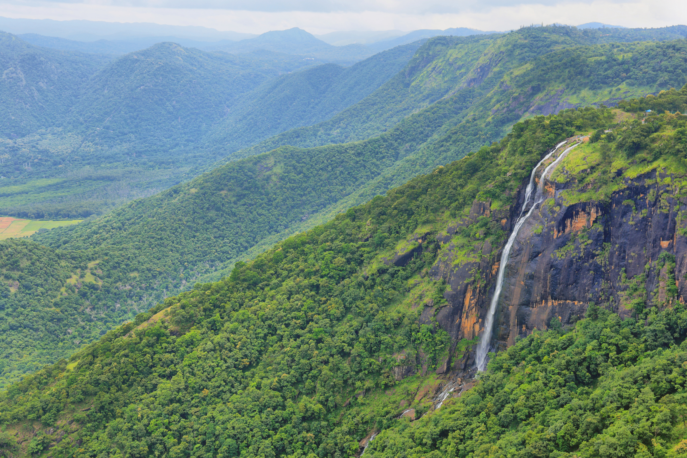 thekkady (3).webp